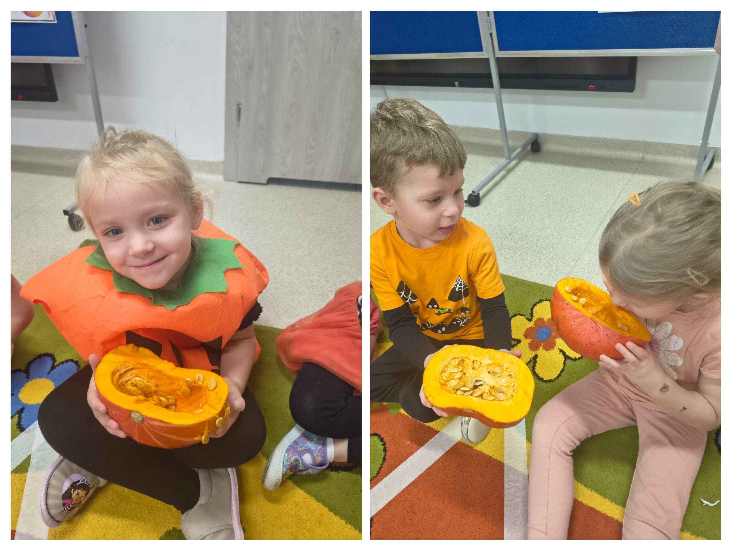 20251105_141612-COLLAGE