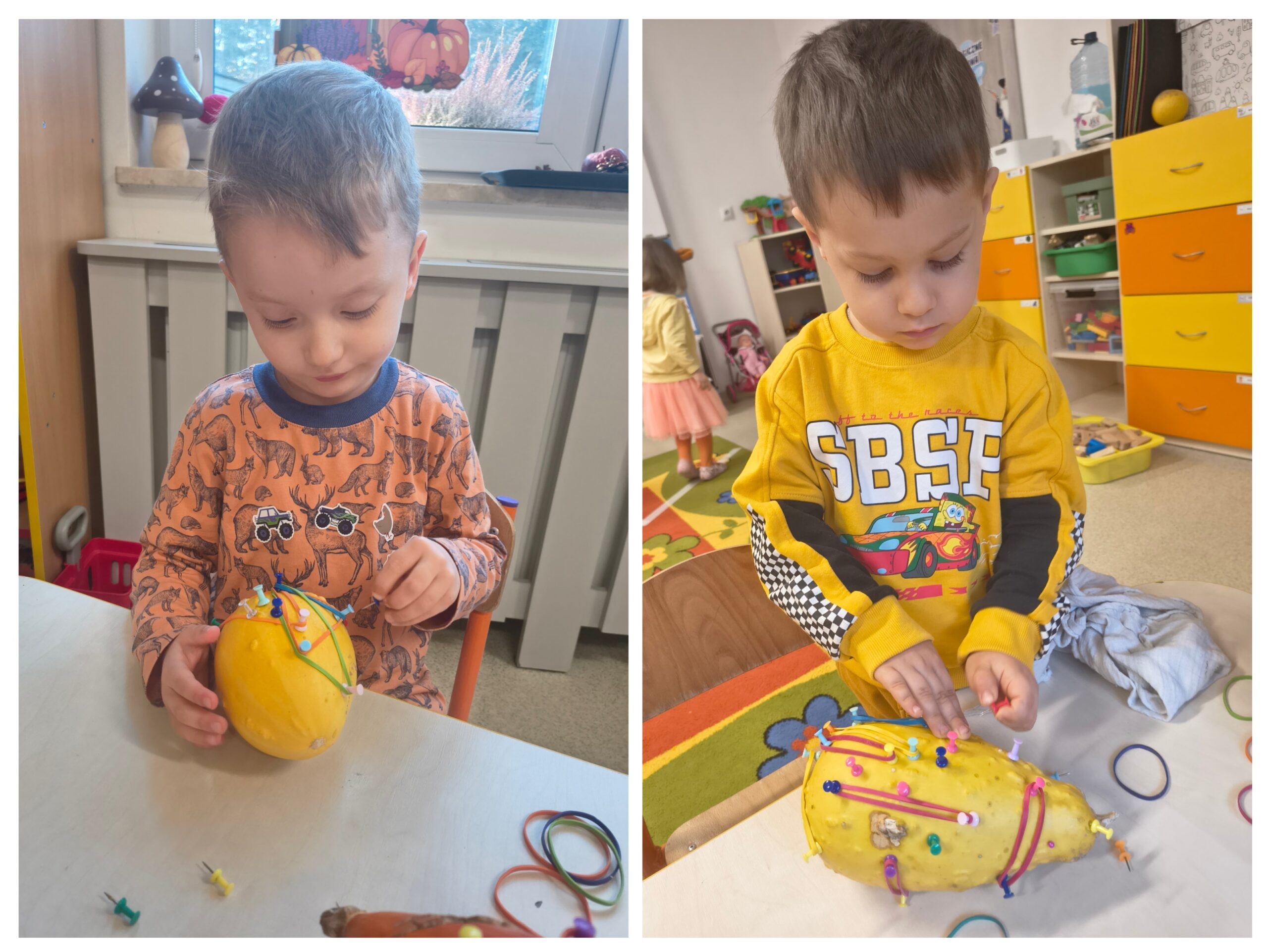 20251105_141710-COLLAGE