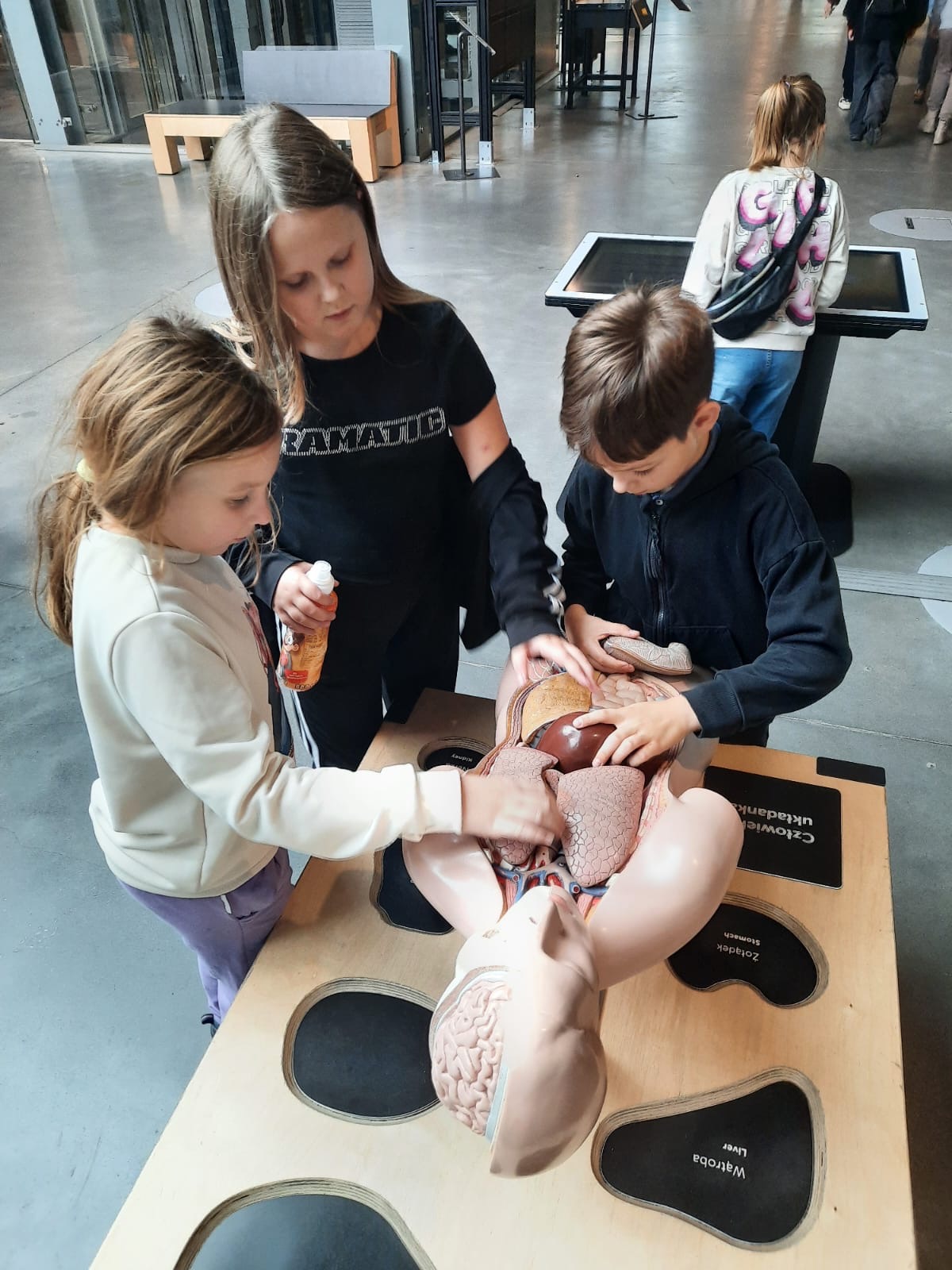 3aecc225-df13-4627-b78c-148ec41d76f5