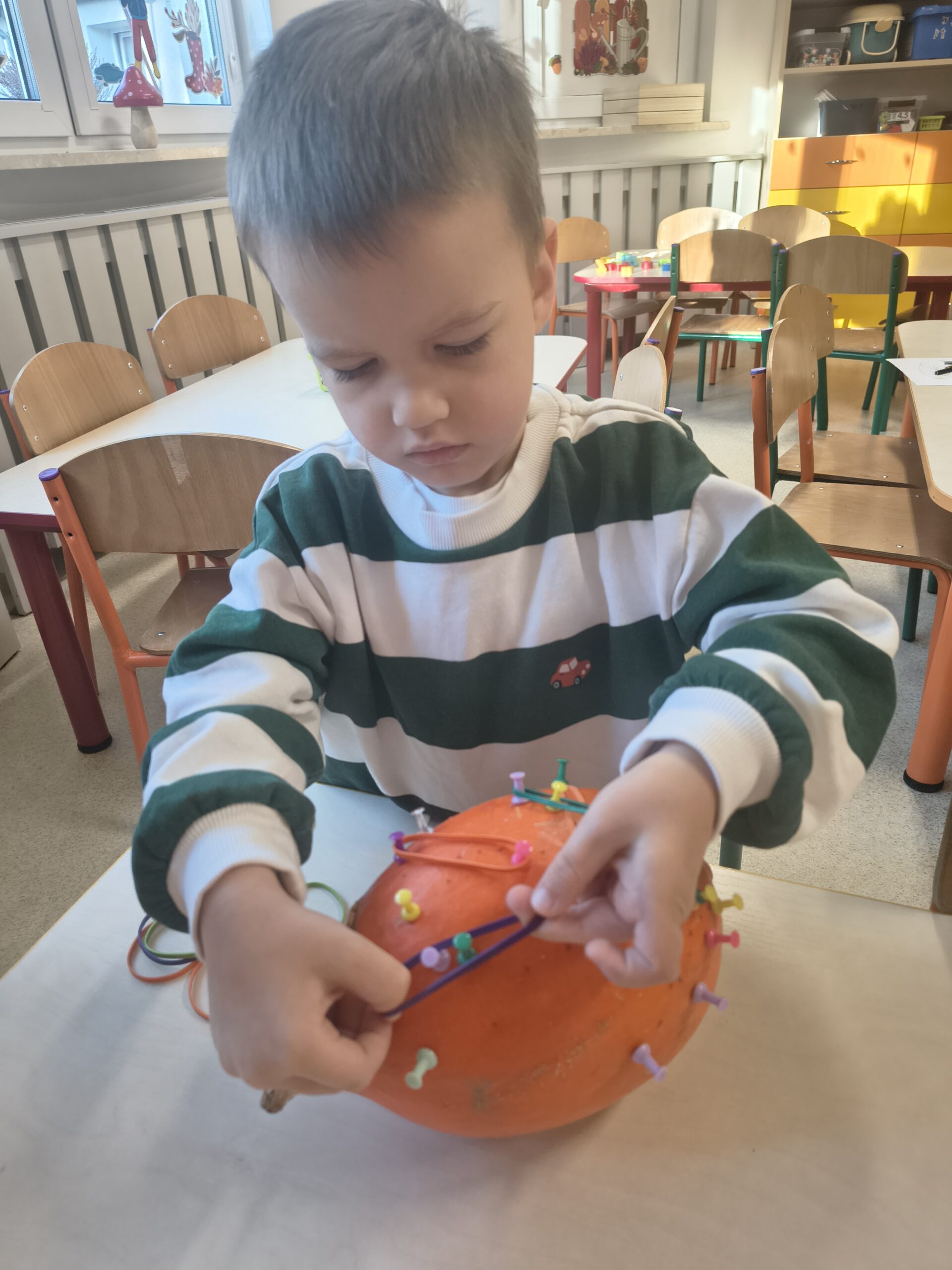 IMG_20251105_081616618_HDR