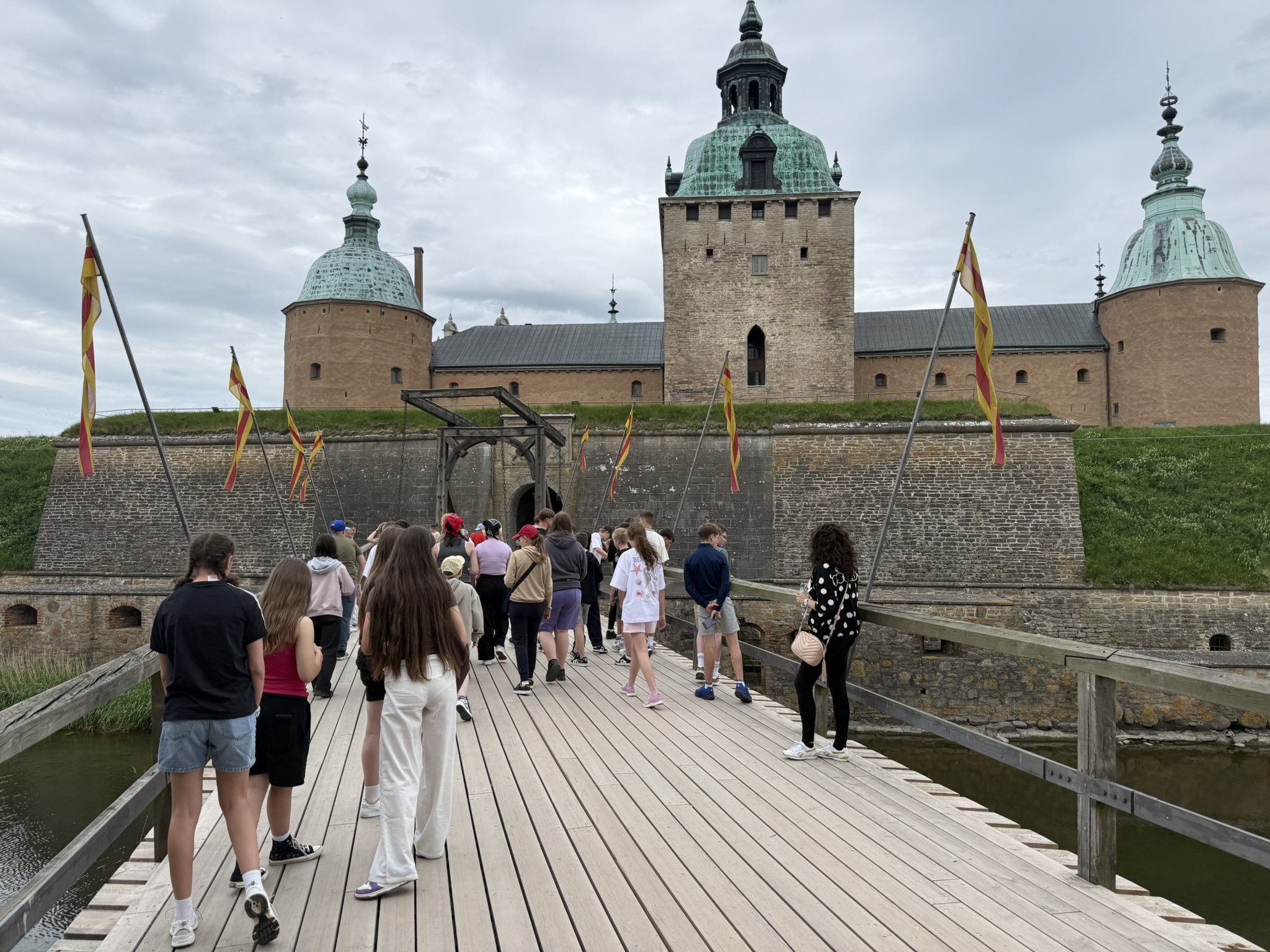 IMG_9584